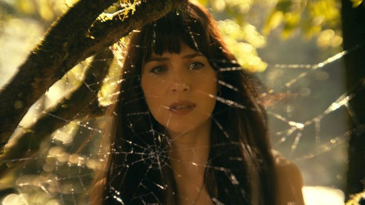 Dakota Johnson looks through a spiderweb in an image from Madame Web
