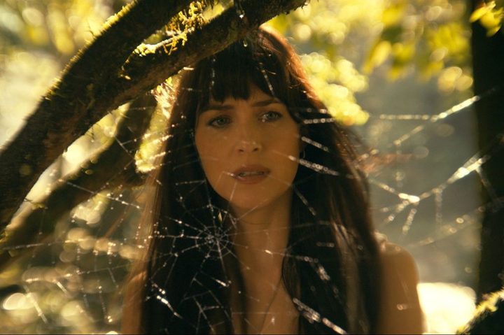 Dakota Johnson looks through a spiderweb in an image from "Madame Web."