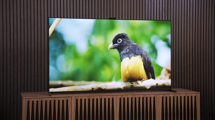 Best TV vs Biggest: Sony A95L & TCL QM8