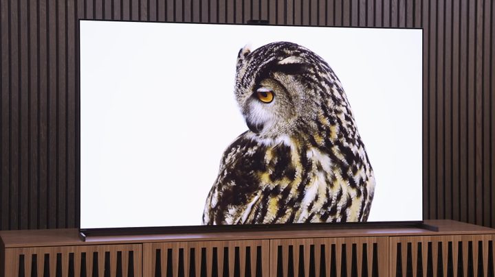 Best TV vs Biggest: Sony A95L & TCL QM8
