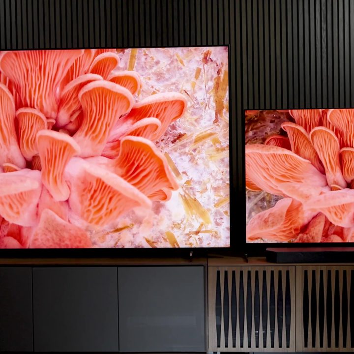 Best TV vs Biggest: Sony A95L & TCL QM8