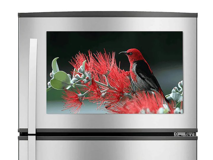The Displace Mini TV on a refrigerator.