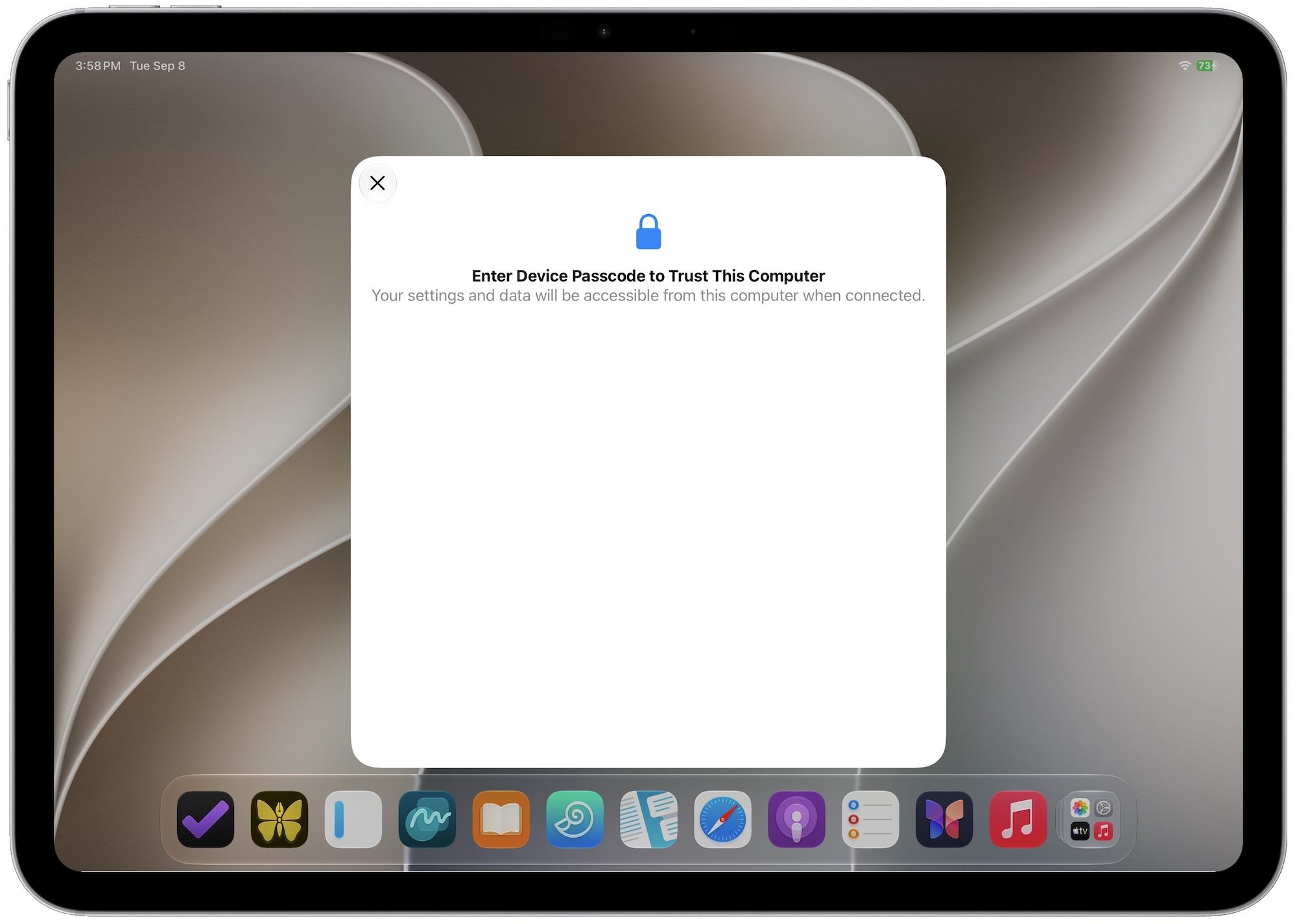 enter password when prompted on iPad