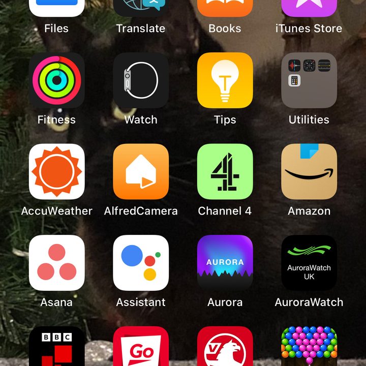 The iPhone home screen.