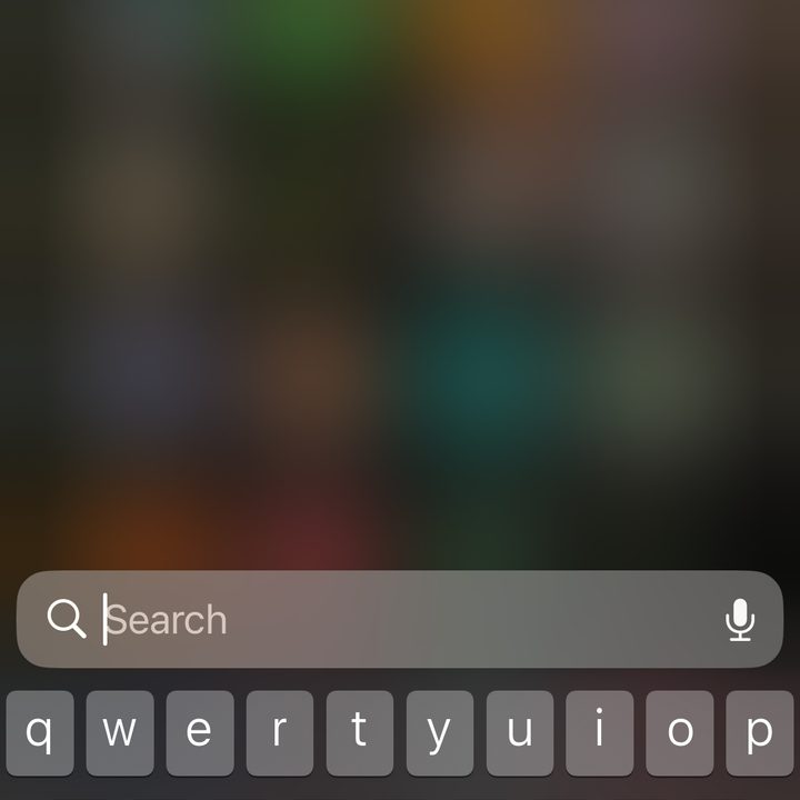 Spotlight Search on an iPhone.