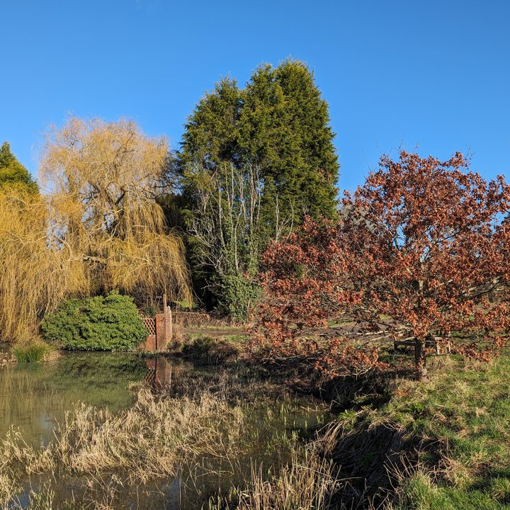 A photo taken with the Google Pixel 8 Pro's main camera.