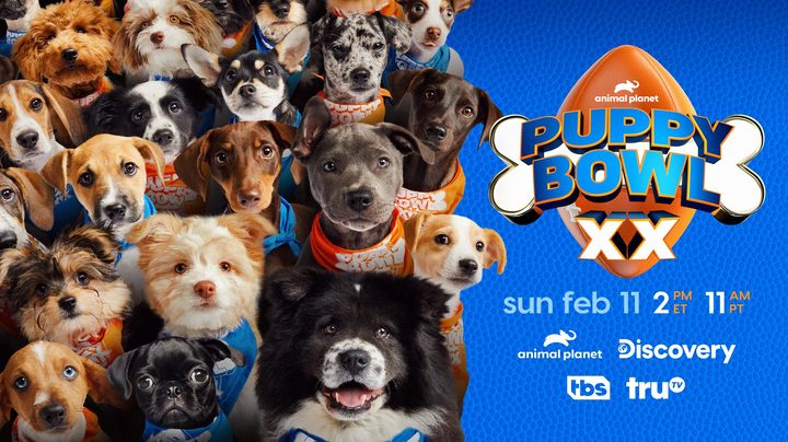 A promo image for Puppy Bowl XX/