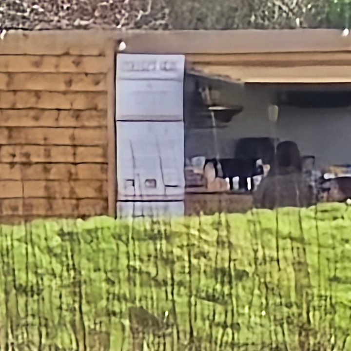 A photo taken with the Samsung Galaxy S4 Ultra's 100x zoom.