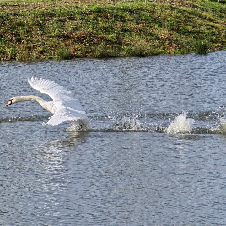 A photo taken with the Samsung Galaxy S4 Ultra's 10x zoom.