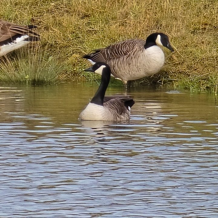 A photo taken with the Samsung Galaxy S4 Ultra's 30x zoom.