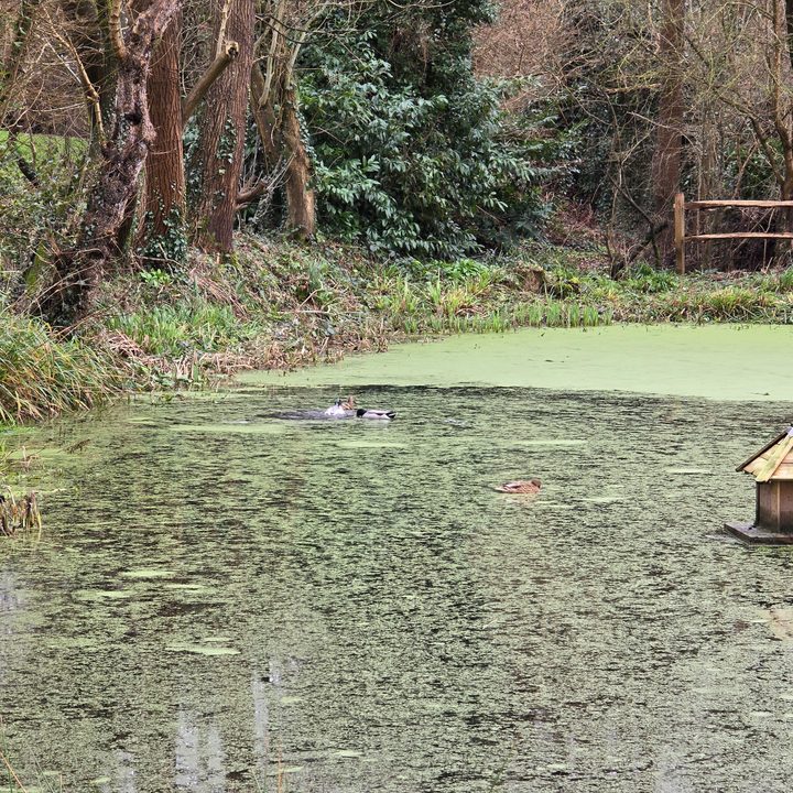 A photo taken with the Samsung Galaxy S24 Ultra at 5x zoom.