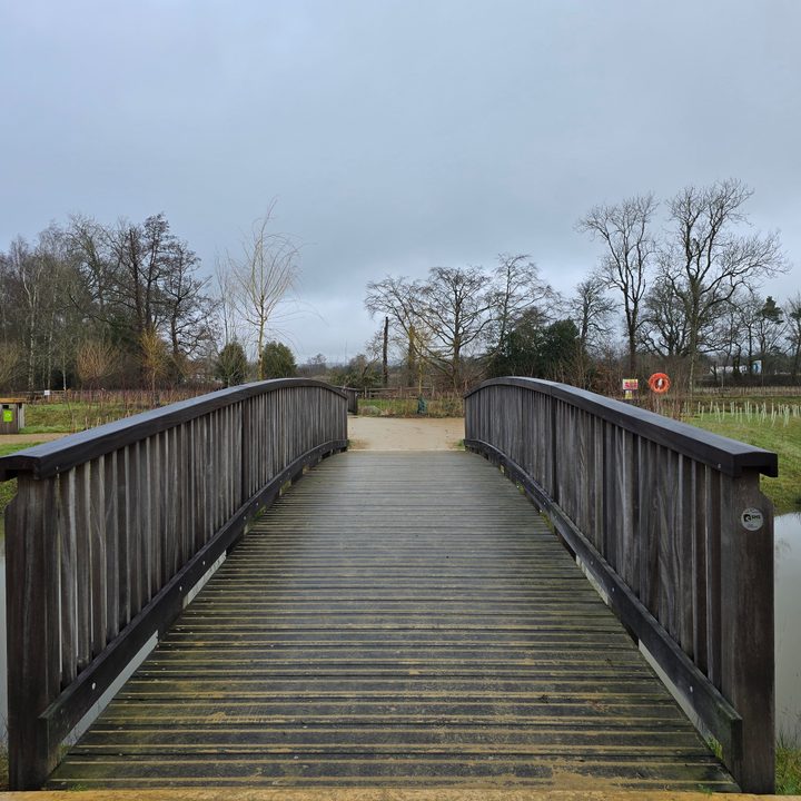 A photo taken with the Samsung Galaxy S24 Ultra's main camera.