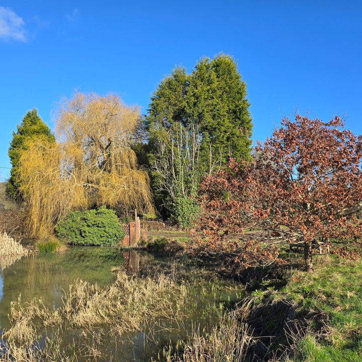 A photo taken with the Samsung Galaxy S24 Ultra's main camera.