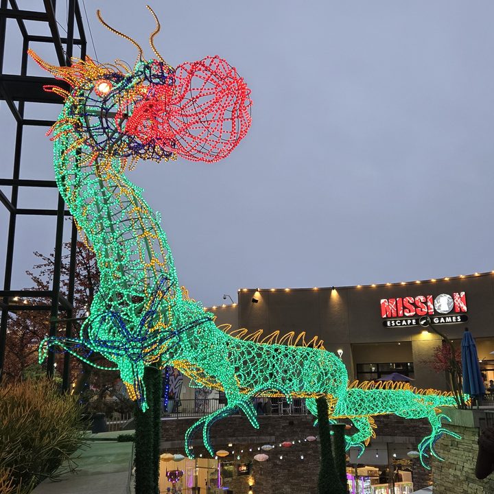 Lunar New Year Dragon light display lowlight taken on Samsung Galaxy S24 main camera.