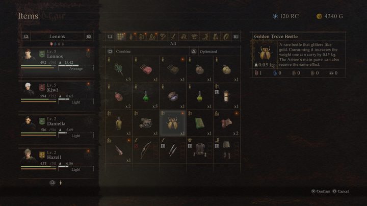 An inventory screen in Dragon's Dogma 2.