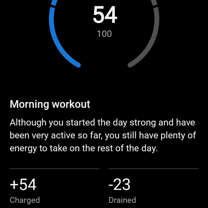 Body battery in Garmin Connect.