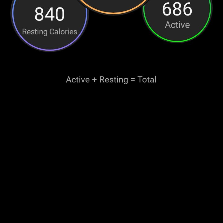 Calories burned in Garmin Connect.