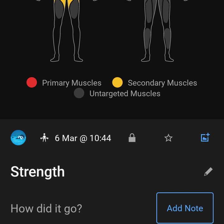 Strength training stats in Garmin Connect.