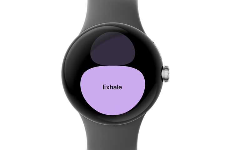 Google Pixel Watch showing Fitbit Relax.