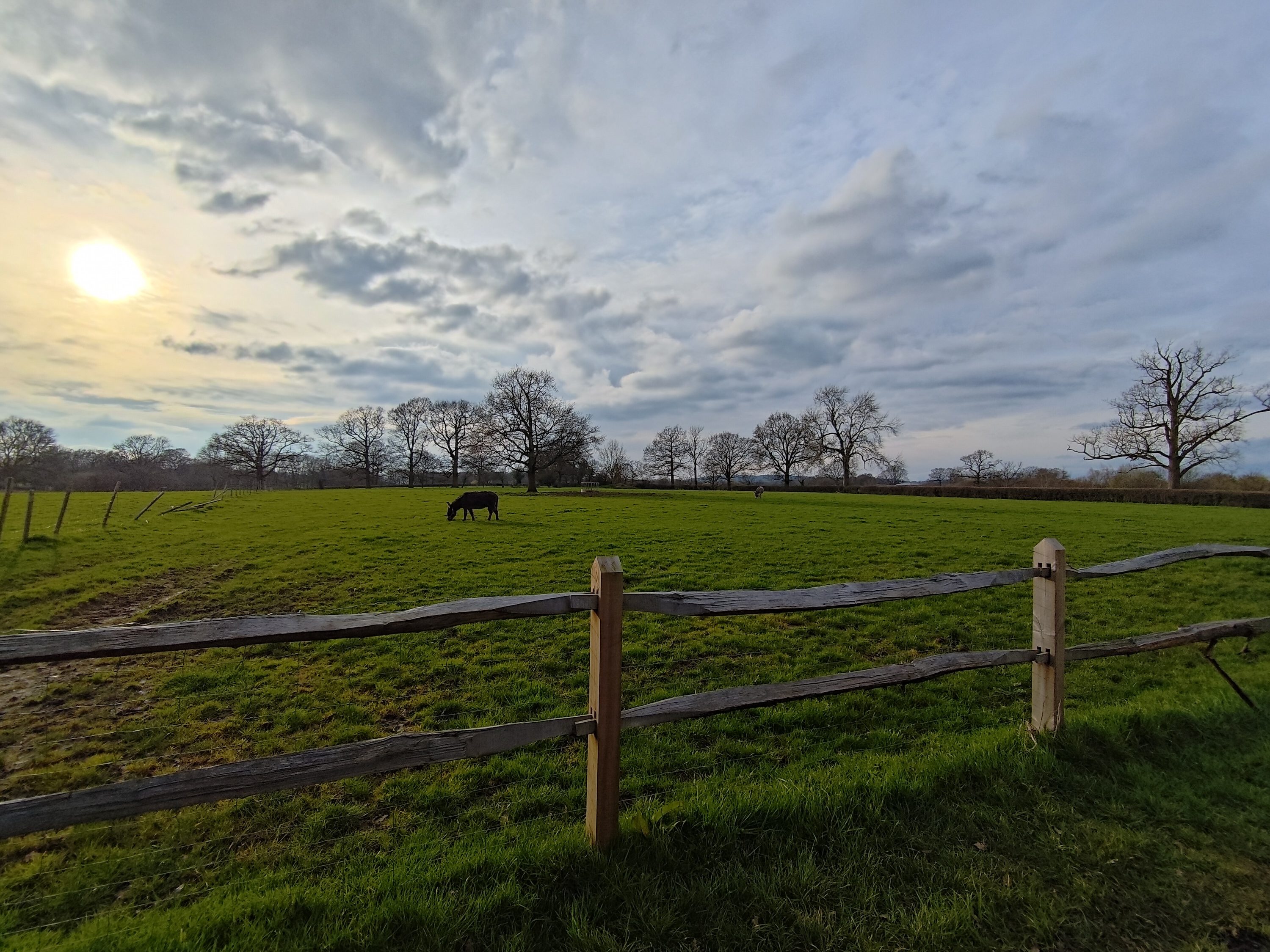 A wide-angle photo taken with the Asus Zenfone 11 Ultra.