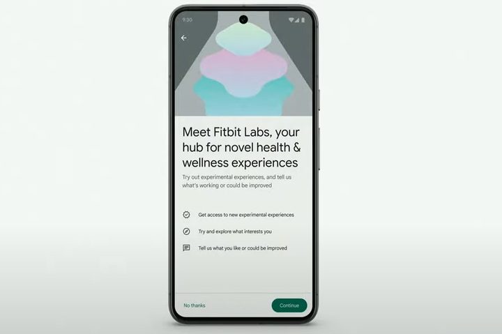 AI in Fitbit app.