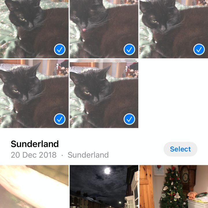 Selecting multiple images in Photos.