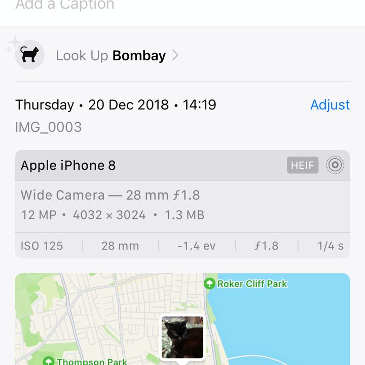 The location and other info from the photo of the black cat on a bed.