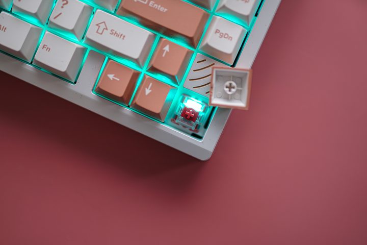 Switches on the Boog75 keyboard.