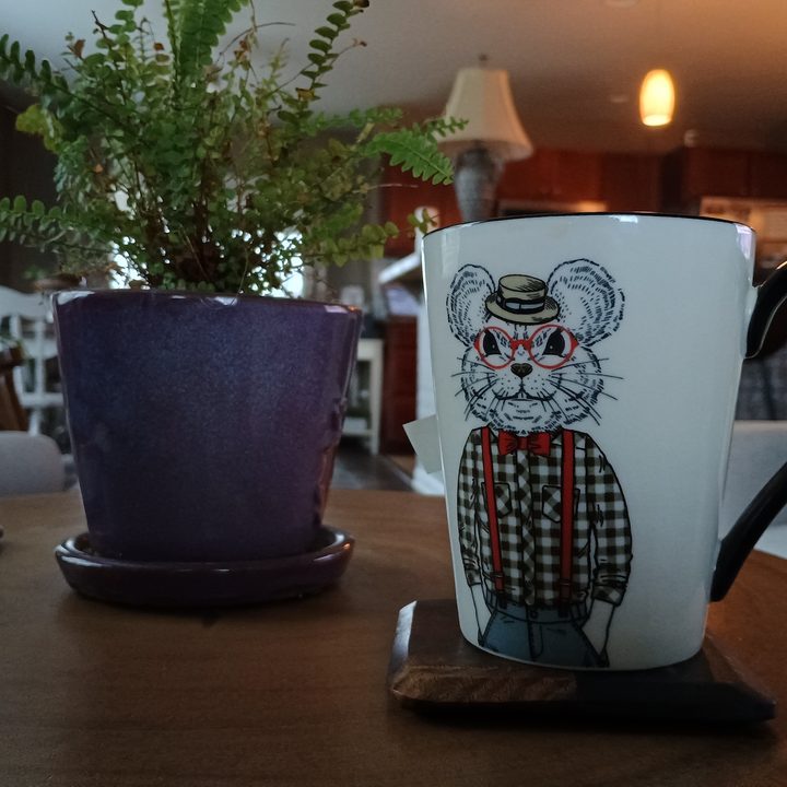 A photo of a mug and a plant, taken with the Moto G Power 5G (2024).