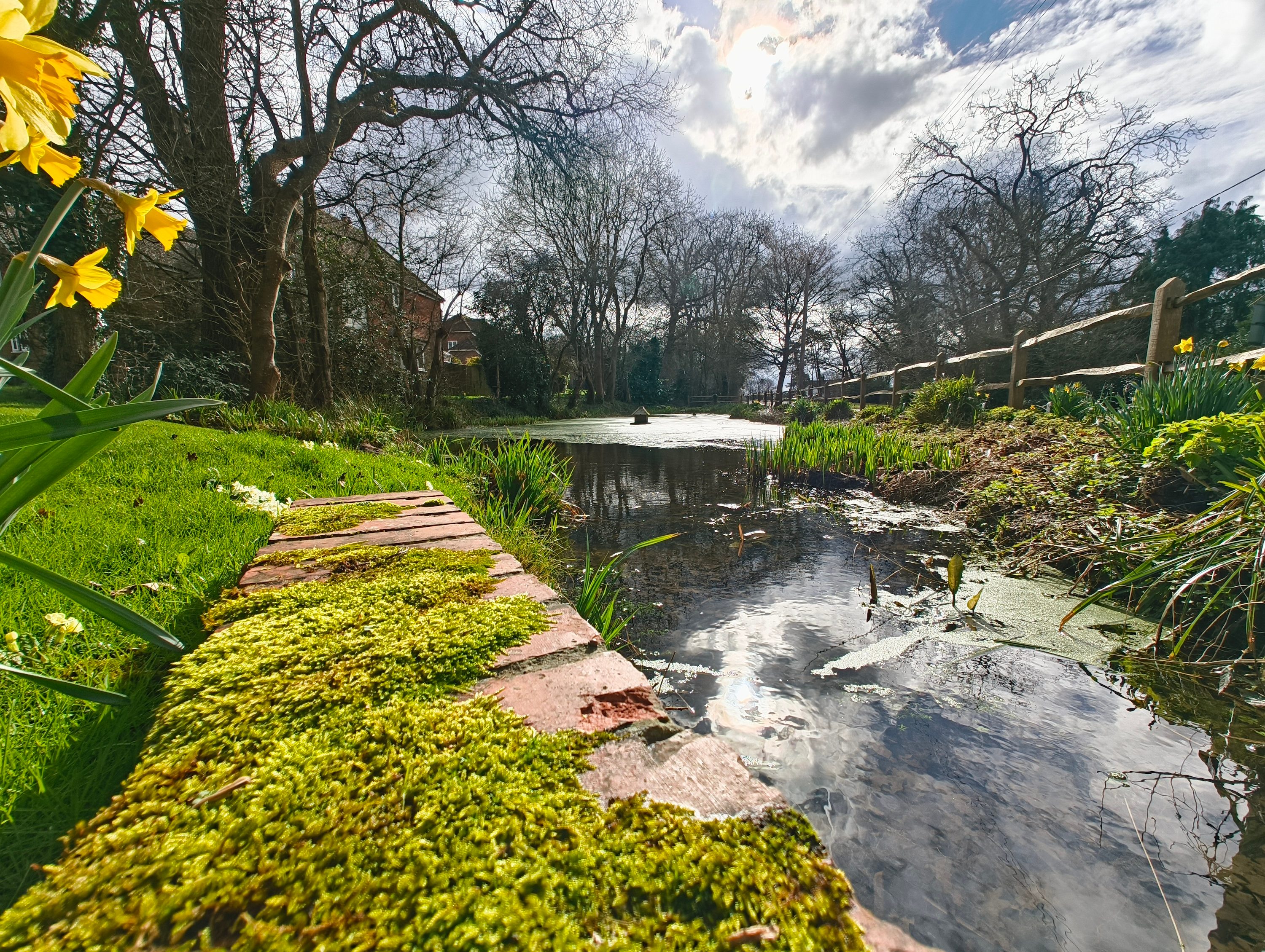 A photo taken with the Nothing Phone 2a's wide-angle camera.