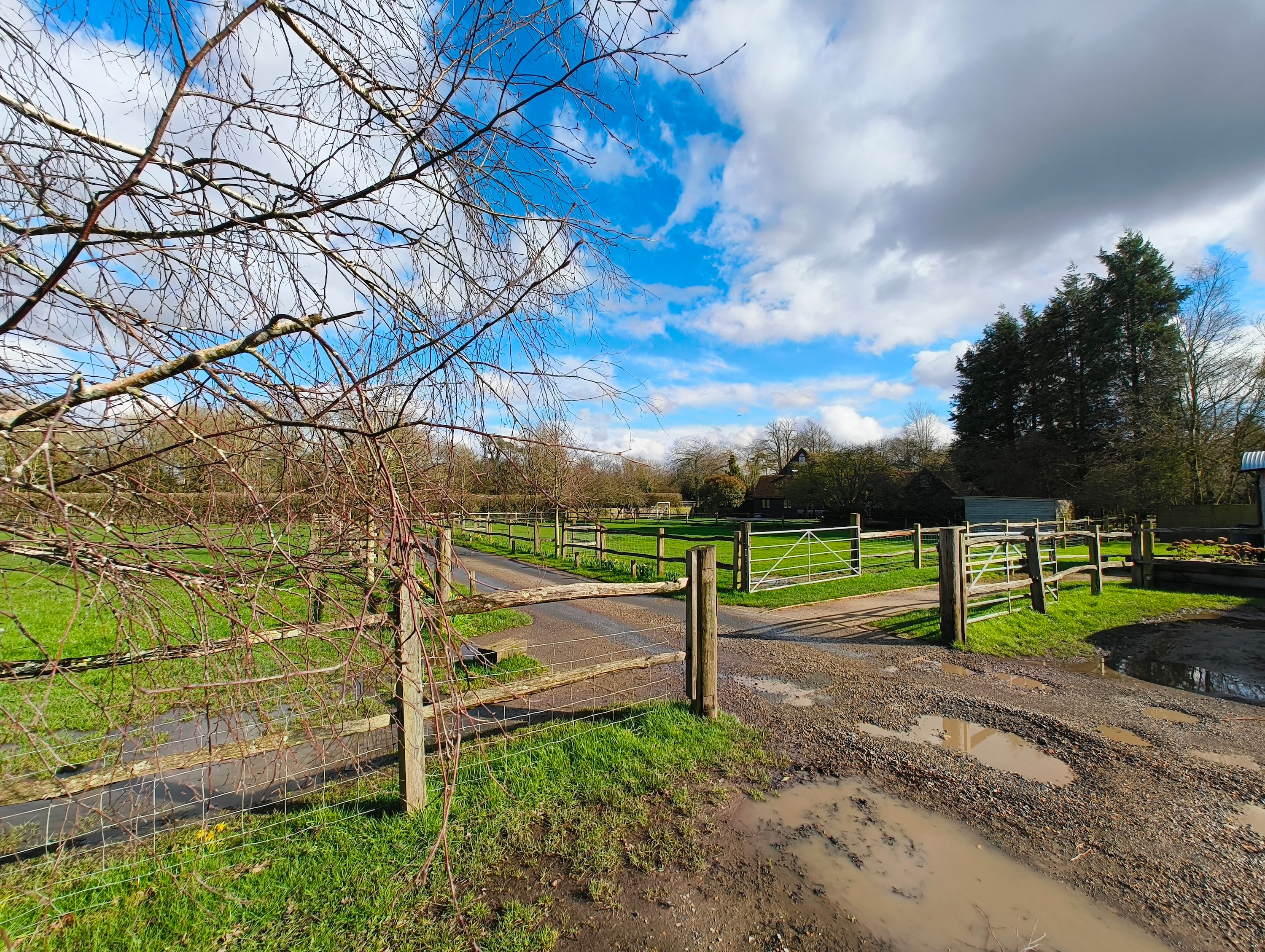 A photo taken with the Nothing Phone 2a's wide-angle camera.