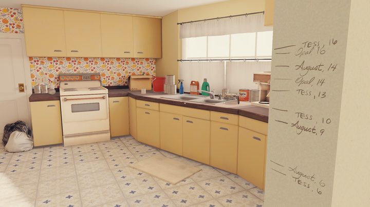A kitchen appears in Open Roads.