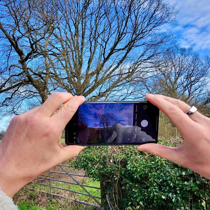 A photo taken with the Ray-Ban Meta smartglasses, after edits.
