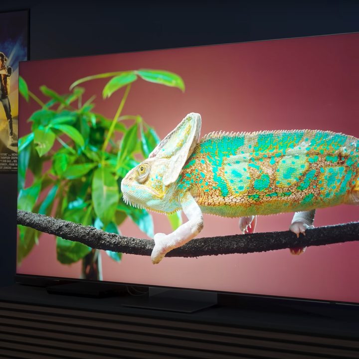 A chameleon on a leafy branch shown on a Samsung QN900D.