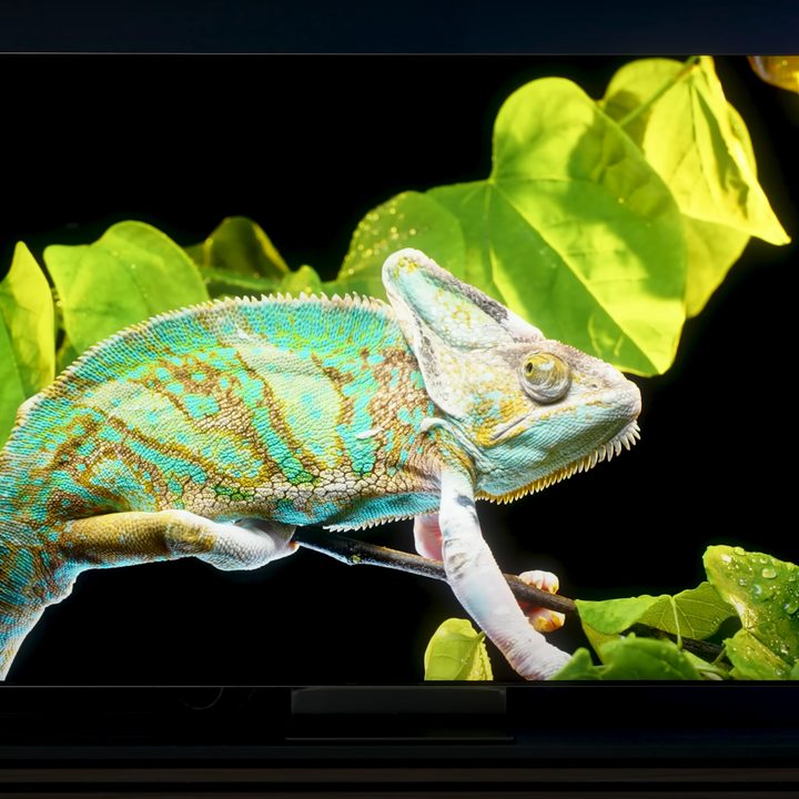 A chameleon against a green backdrop shown on a Samsung QN900D TV.