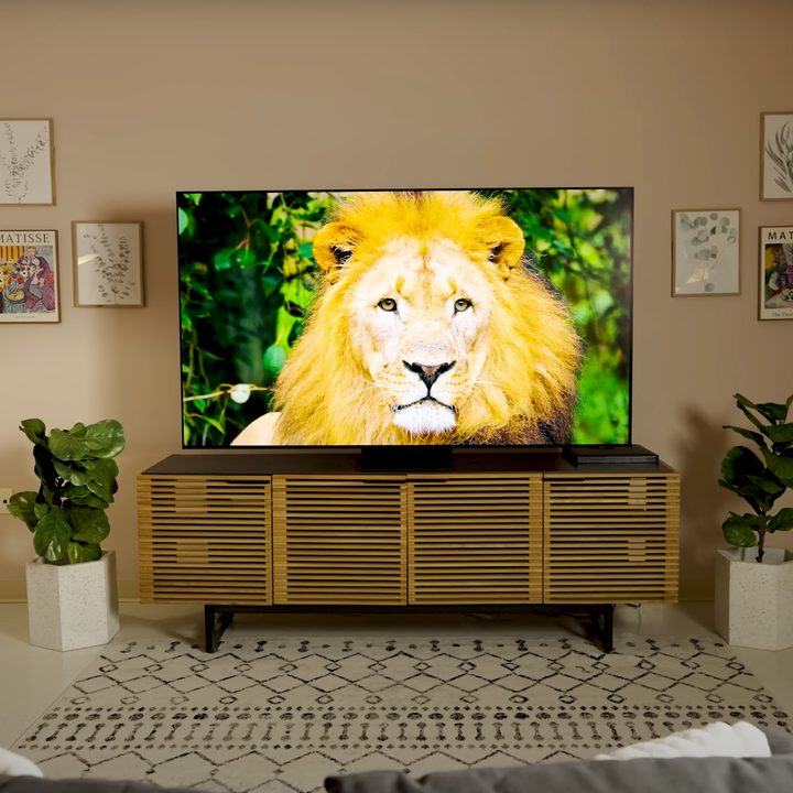 A closeup of a lion on a Samsung S95D OLED.