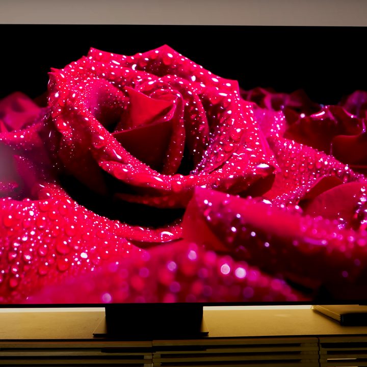 Dew rests on the petals of a deep red rose shown on a Samsung S95D OLED.