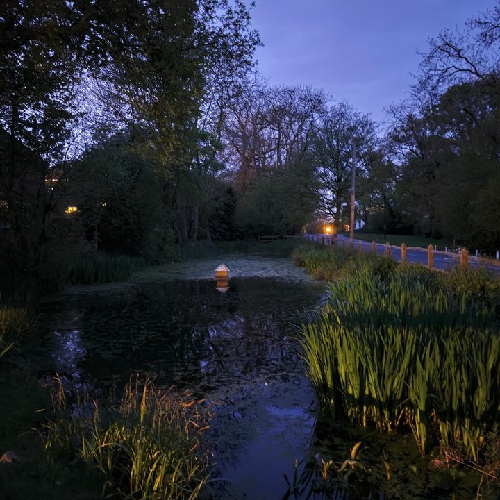 A photo taken with the Xiaomi 14 Ultra in Night mode.