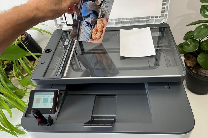 A monochrome printer scans in color, and the LaserJet Pro MFP 3101fdw's flatbed handles photos well.