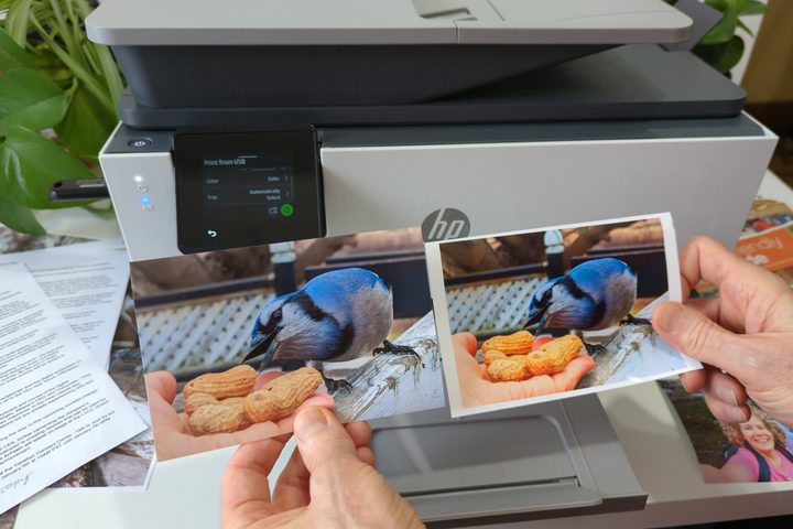 Borderless printing is strangely absent when printing from a thumb drive with the OfficeJet Pro 9125e's USB port.