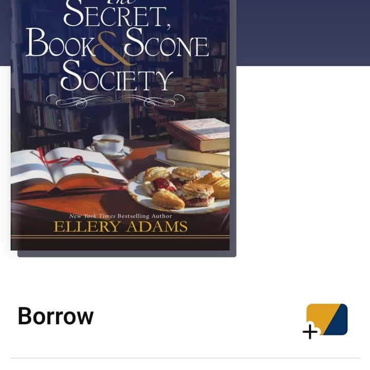 A book in Libby.