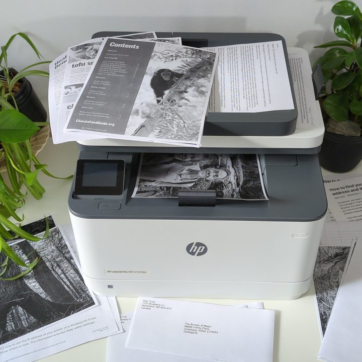 The LaserJet Pro MFP 3101fdw makes short work of long documents.