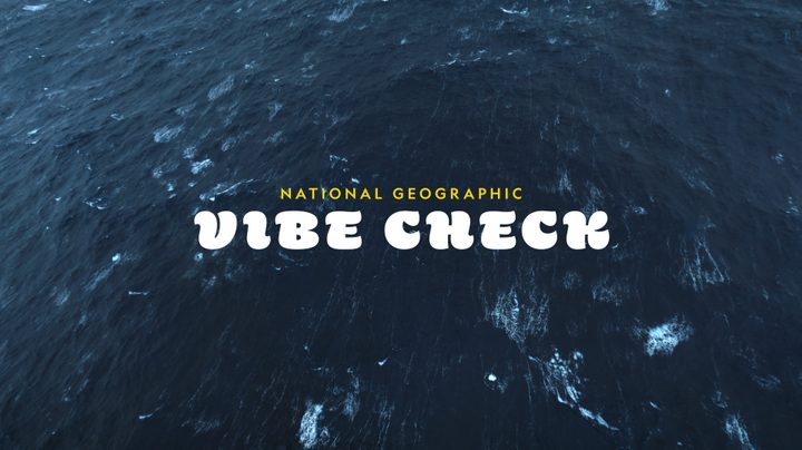 Logo for National Geographic x Vibe Check logo.