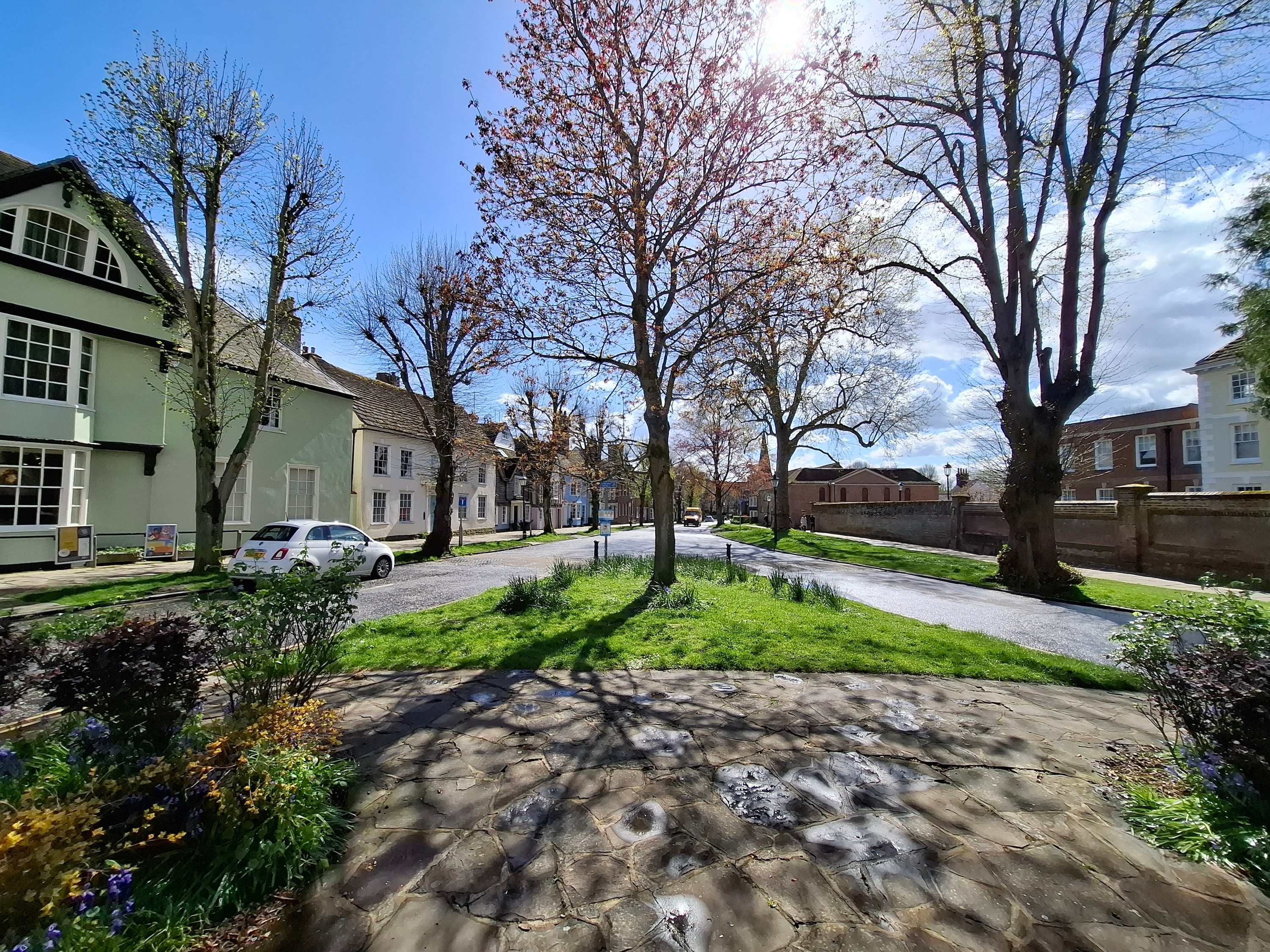 A photo taken with the Samsung Galaxy A55's wide-angle camera.