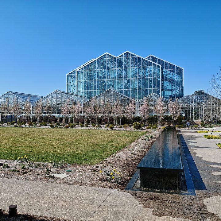 A photo of Frederik Meijer Gardens, taken with the Honor Magic 6 RSR.