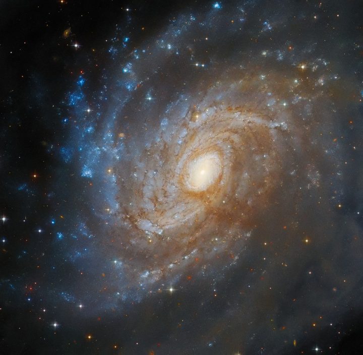 The subject of this image taken with the NASA/ESA Hubble Space Telescope is the spiral galaxy IC 4633, located 100 million light-years away from us in the constellation Apus. IC 4633 is a galaxy rich in star-forming activity and also hosts an active galactic nucleus at its core. From our point of view, the galaxy is tilted mostly towards us, giving astronomers a fairly good view of its billions of stars.