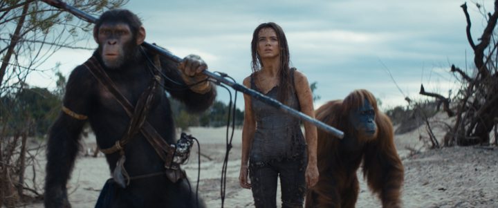 Two apes stand by a human woman in Kingdom of the Planet of the Apes.