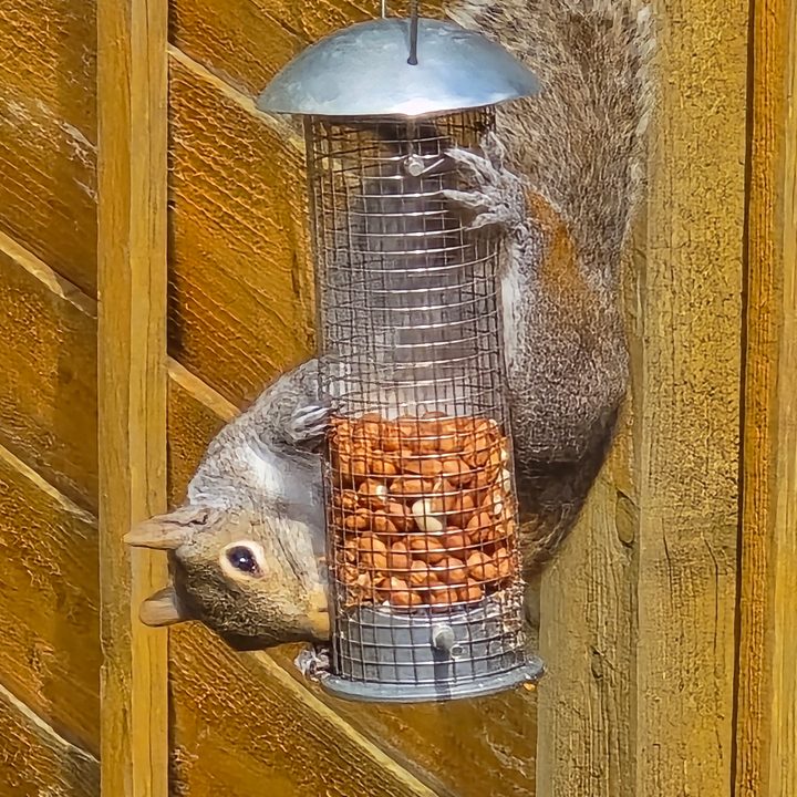 A photo taken with the Samsung Galaxy S24 Ultra at 30x zoom.