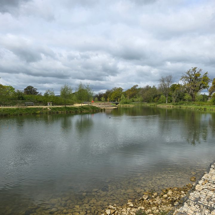 A photo taken with the Samsung Galaxy S24 Ultra's main camera.