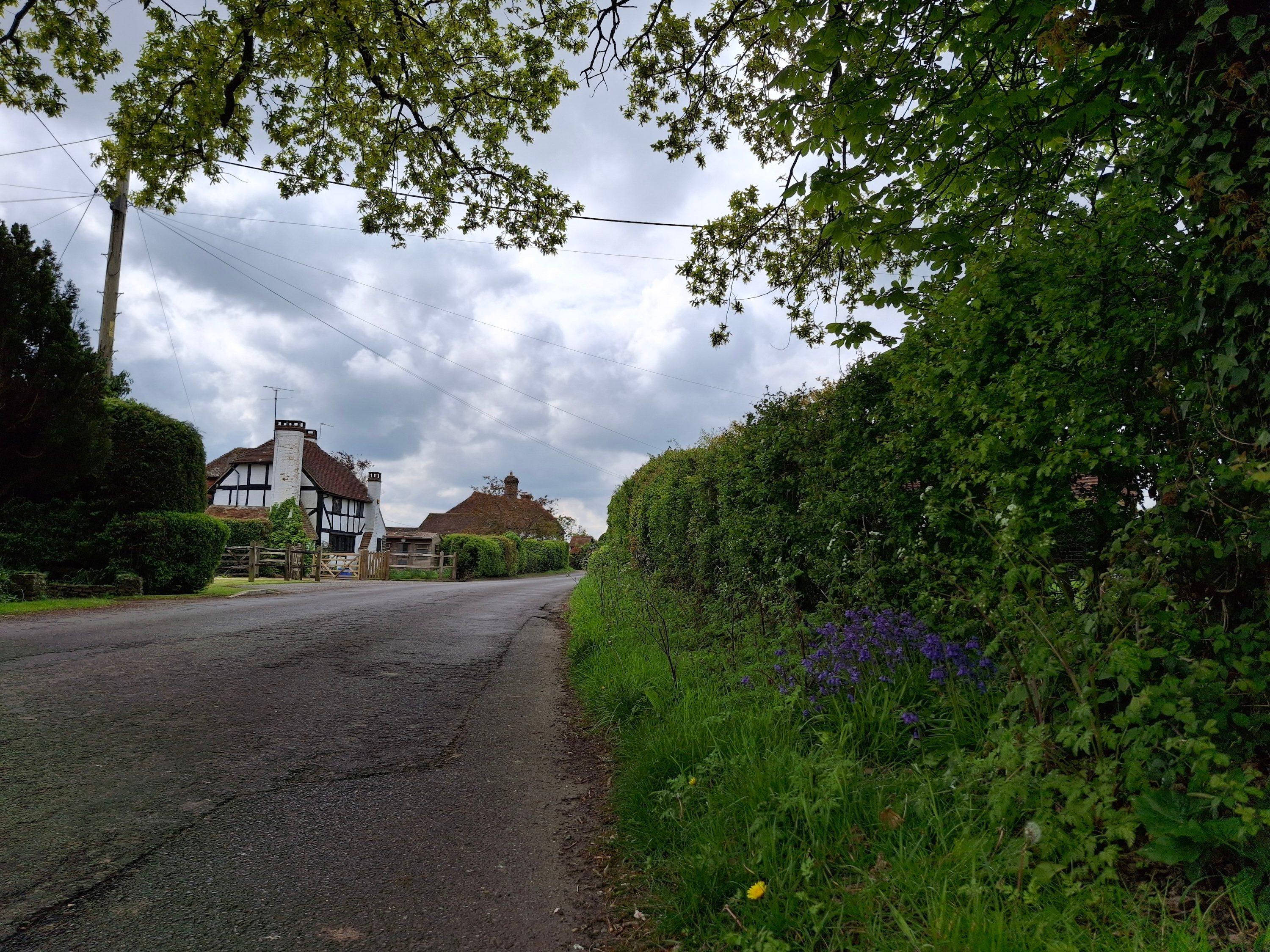 A photo taken with the Samsung Galaxy A35's main camera.